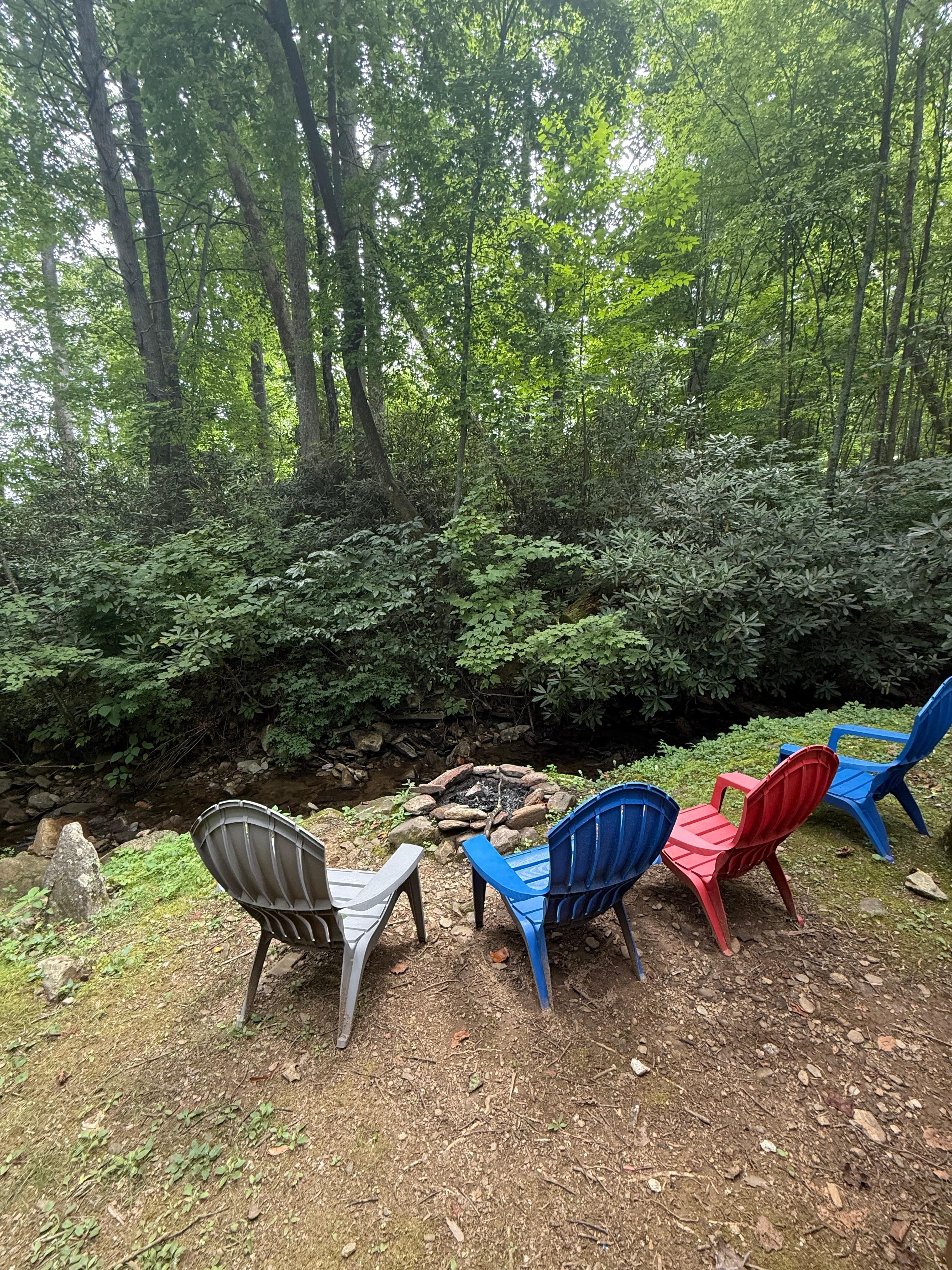 Brook out back, perfect for nightly fires early morning coffee