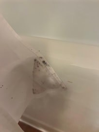 Mold on shower curtain