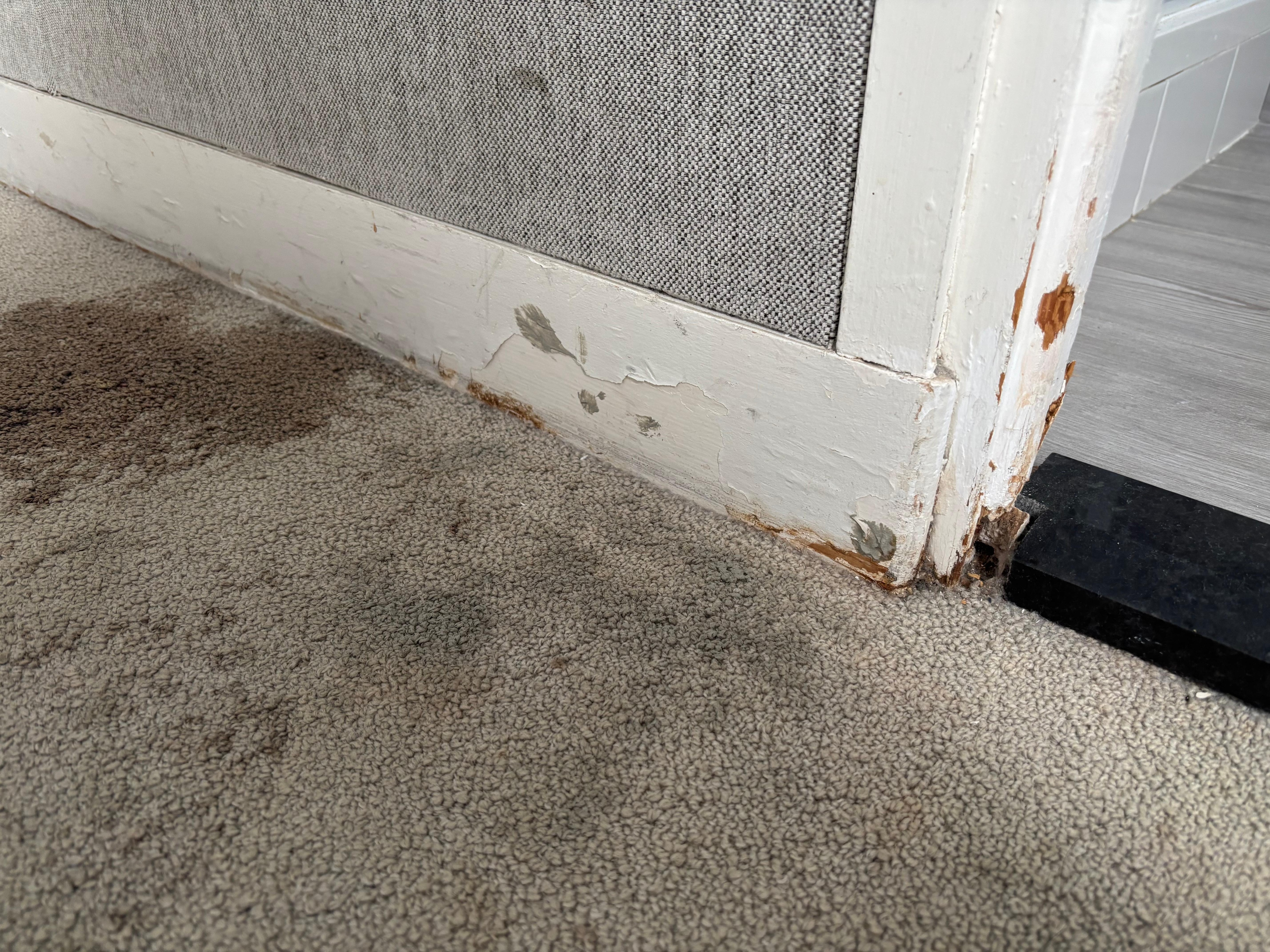 délabrement et moquette tachées