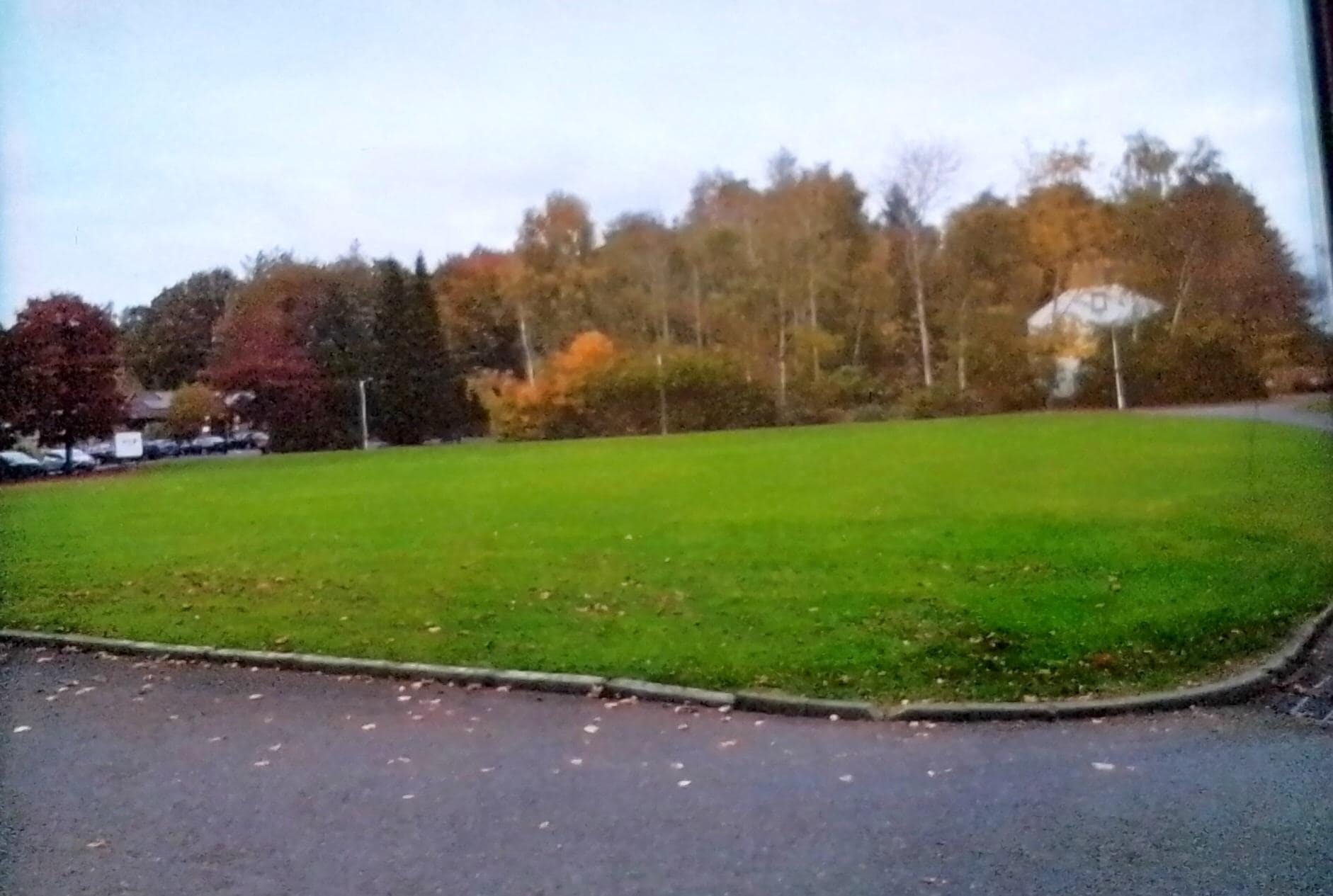 Well maintained grassy area next to the hotel. 