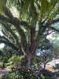 Just down the esplanade