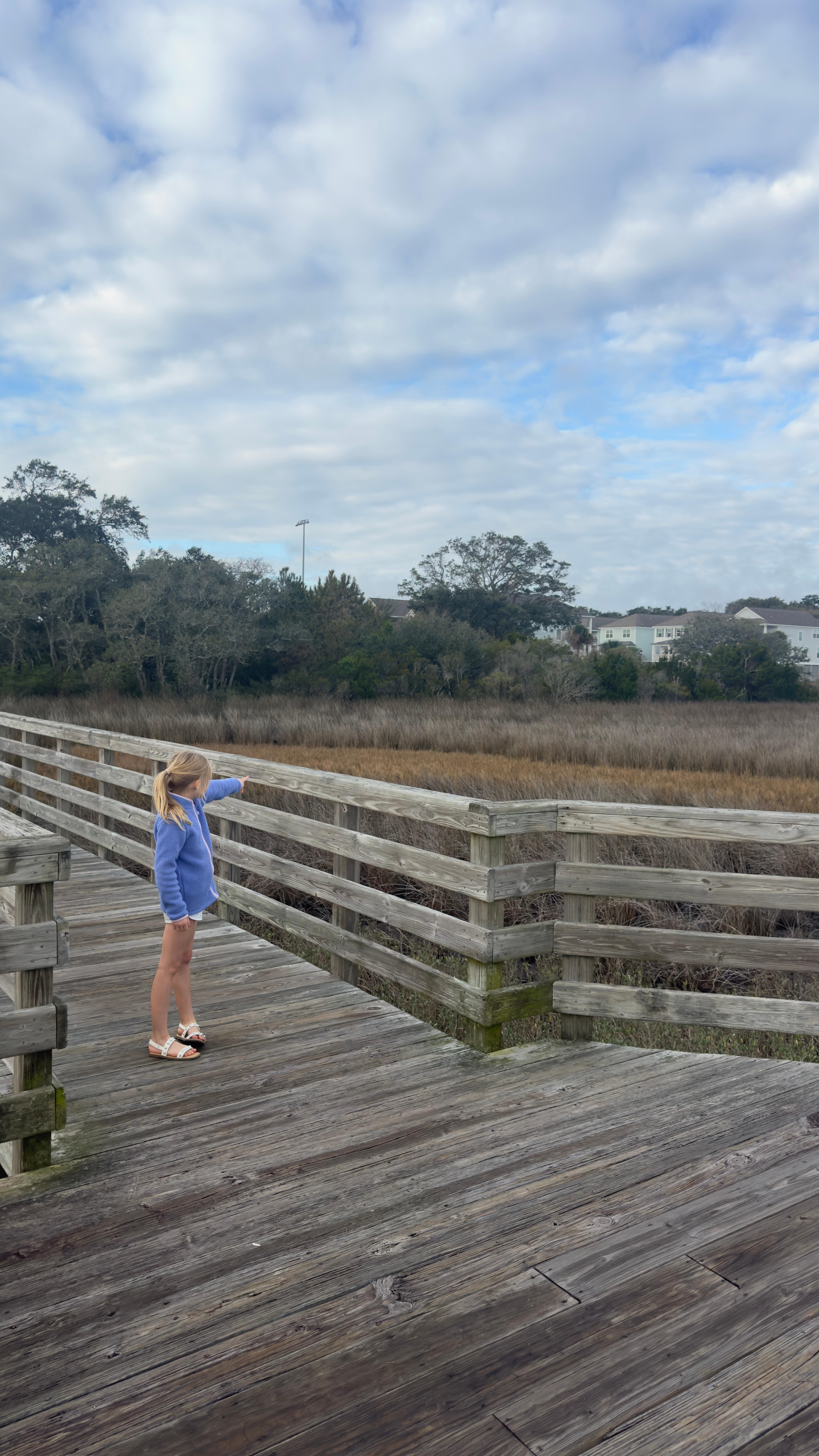 Boardwalk next to house.