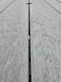Fingernail shoved in outside table