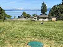 View of Mt Baker and dog chasing frisbee.