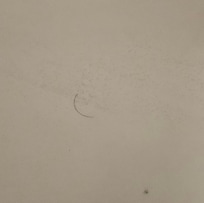 Hair on the shower floor