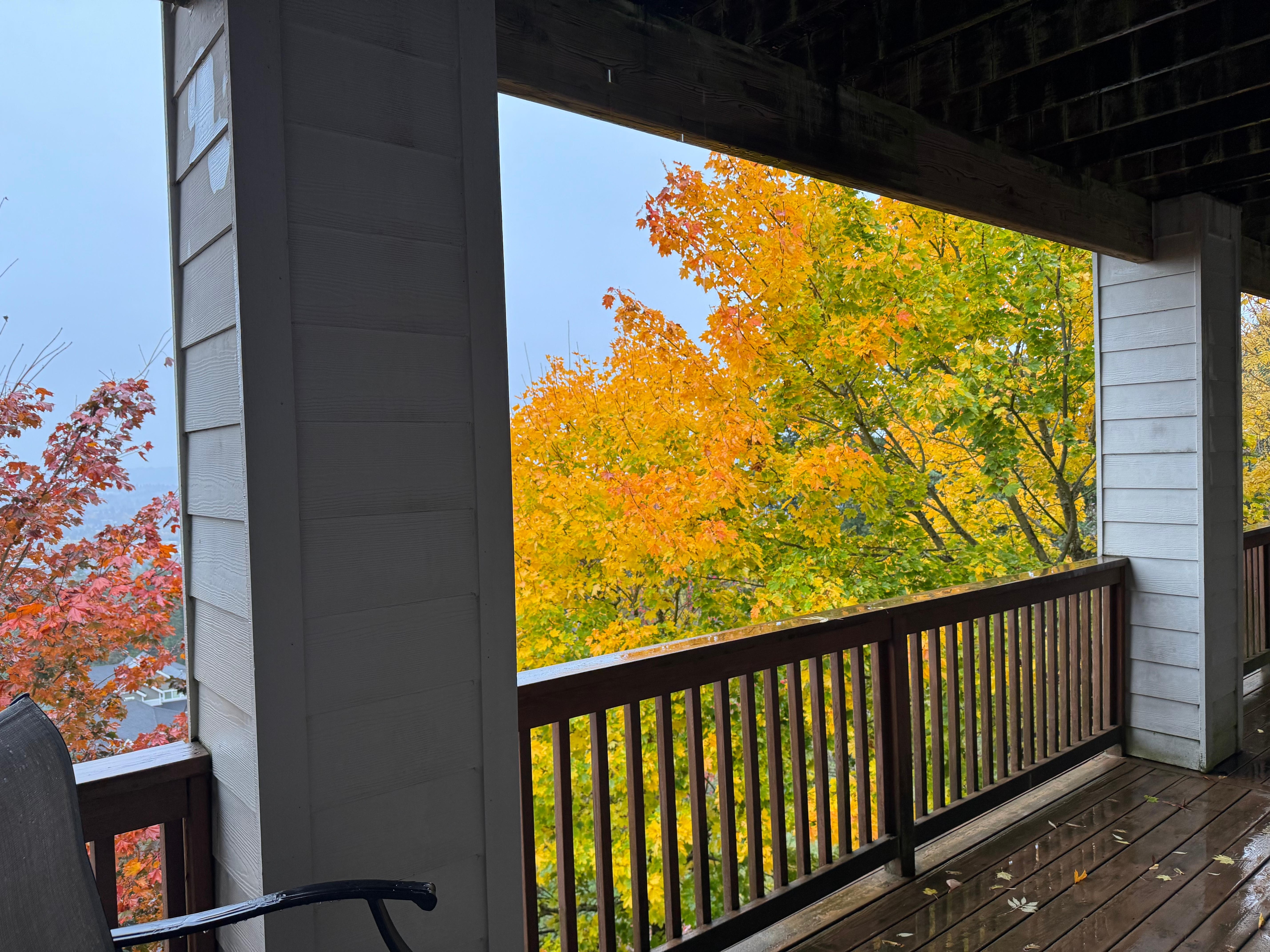 The foliage was incredible!