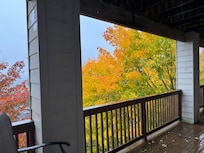 The foliage was incredible!