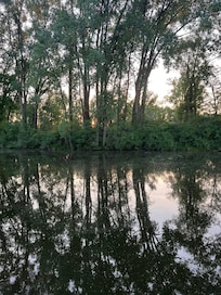 Backyard view