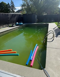 Swim at your own risk!