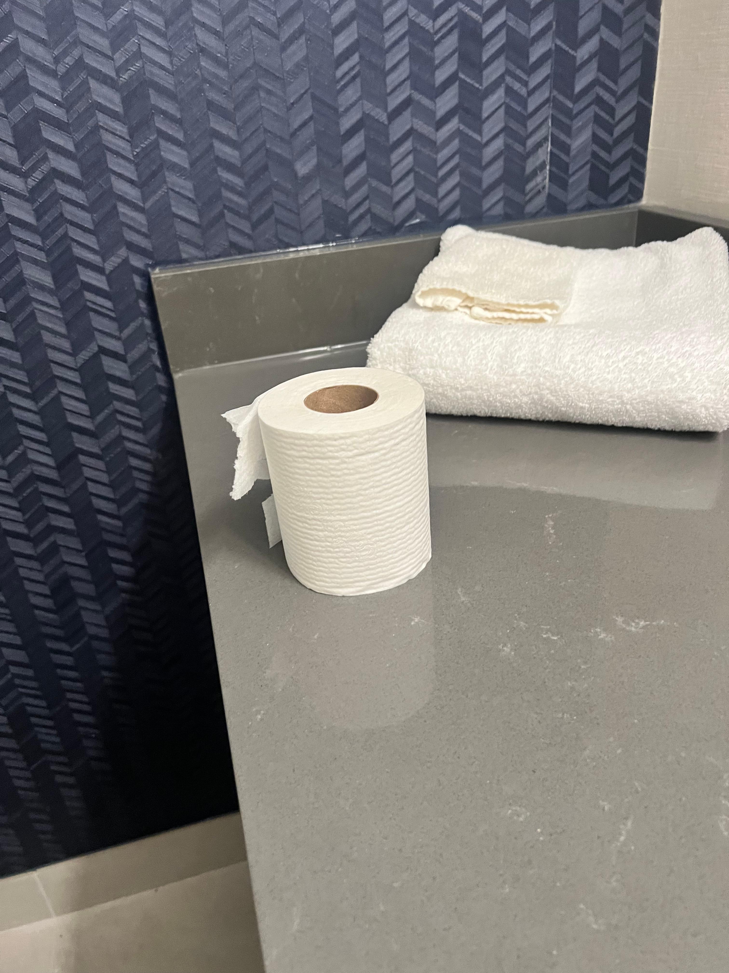 Toilet paper on counter in bathroom 