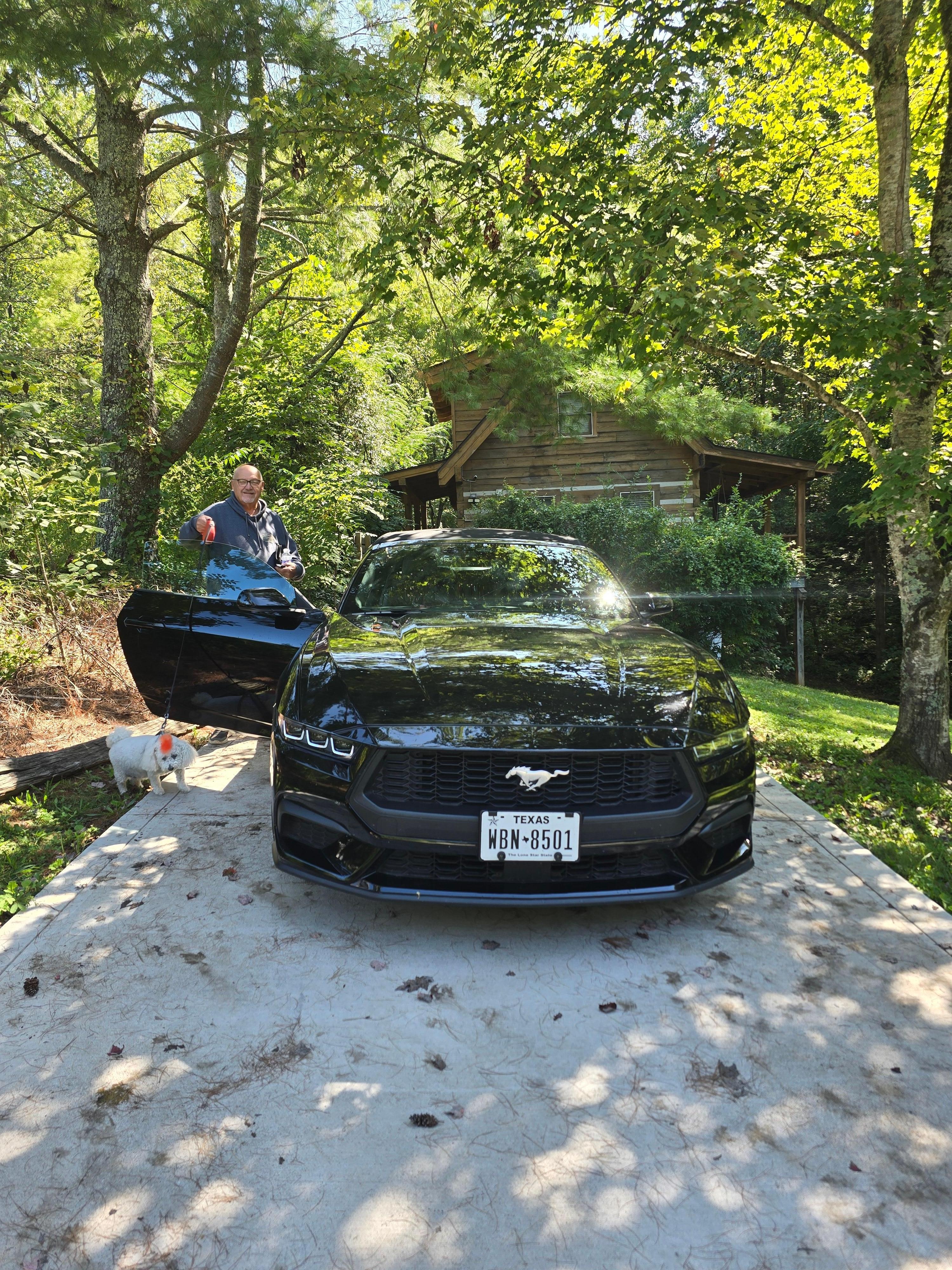 Drive way/cabin behind car