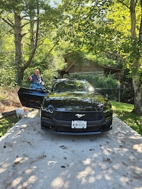 Drive way/cabin behind car
