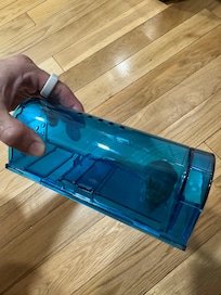 caught a mouse during my stay