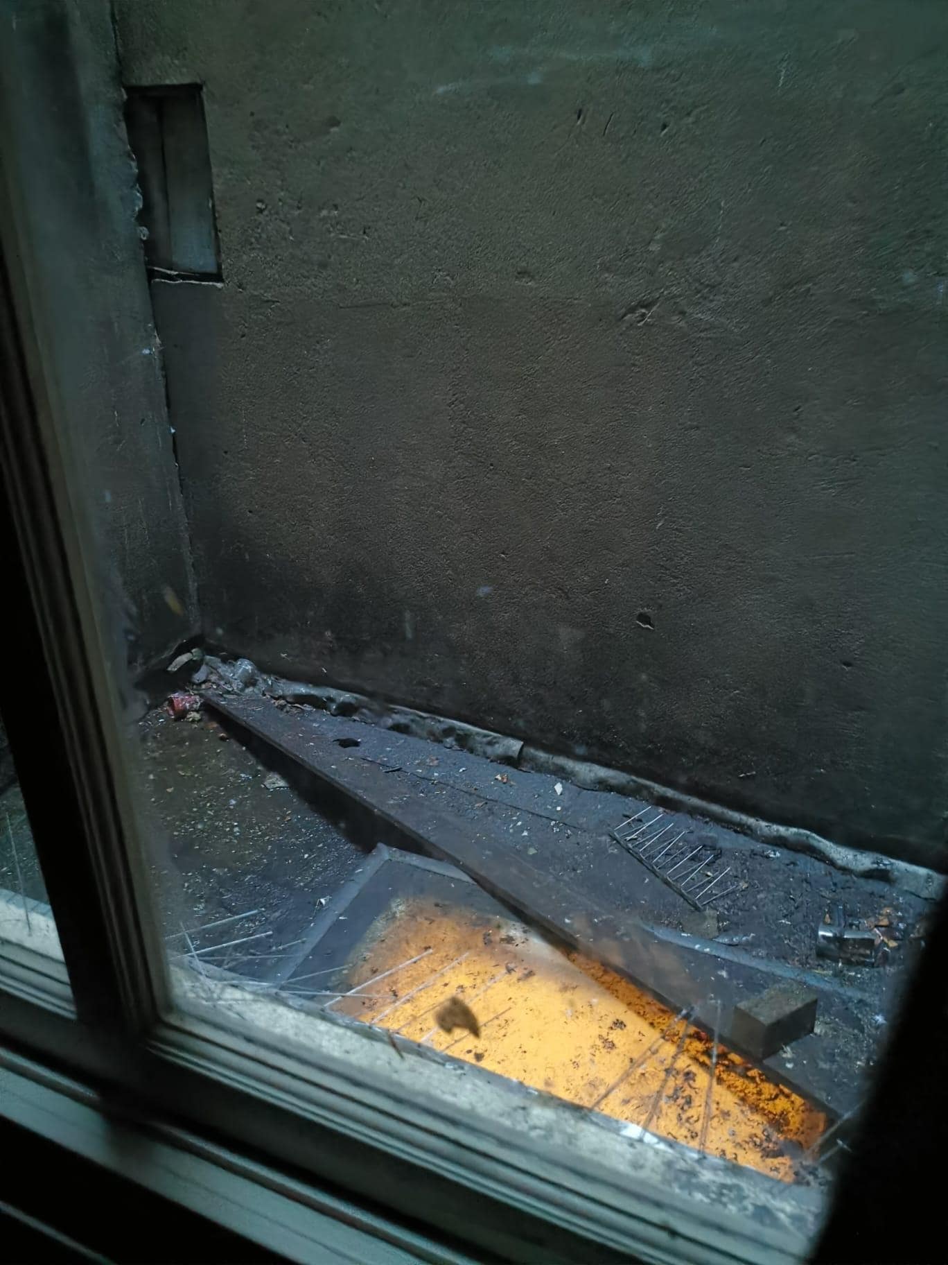 Window with a view