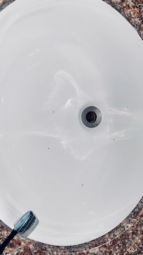 Drain flies, common in Fl but easy to eliminate with a plug.