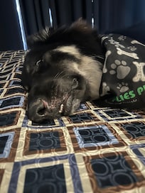 After a long day in the car watching over my patient.