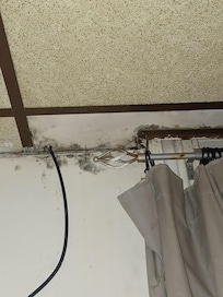 Mouldy walls