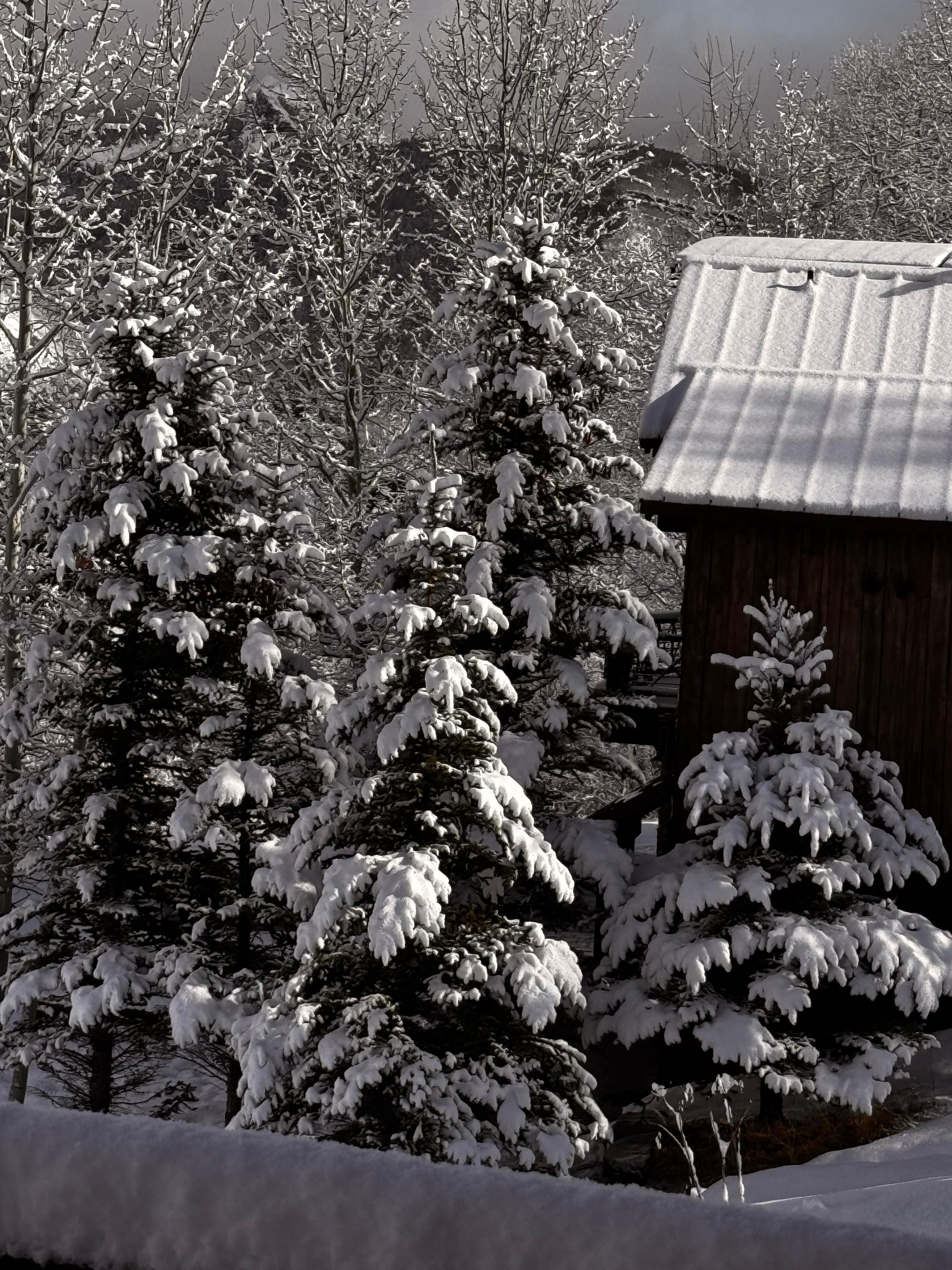 View from living room 