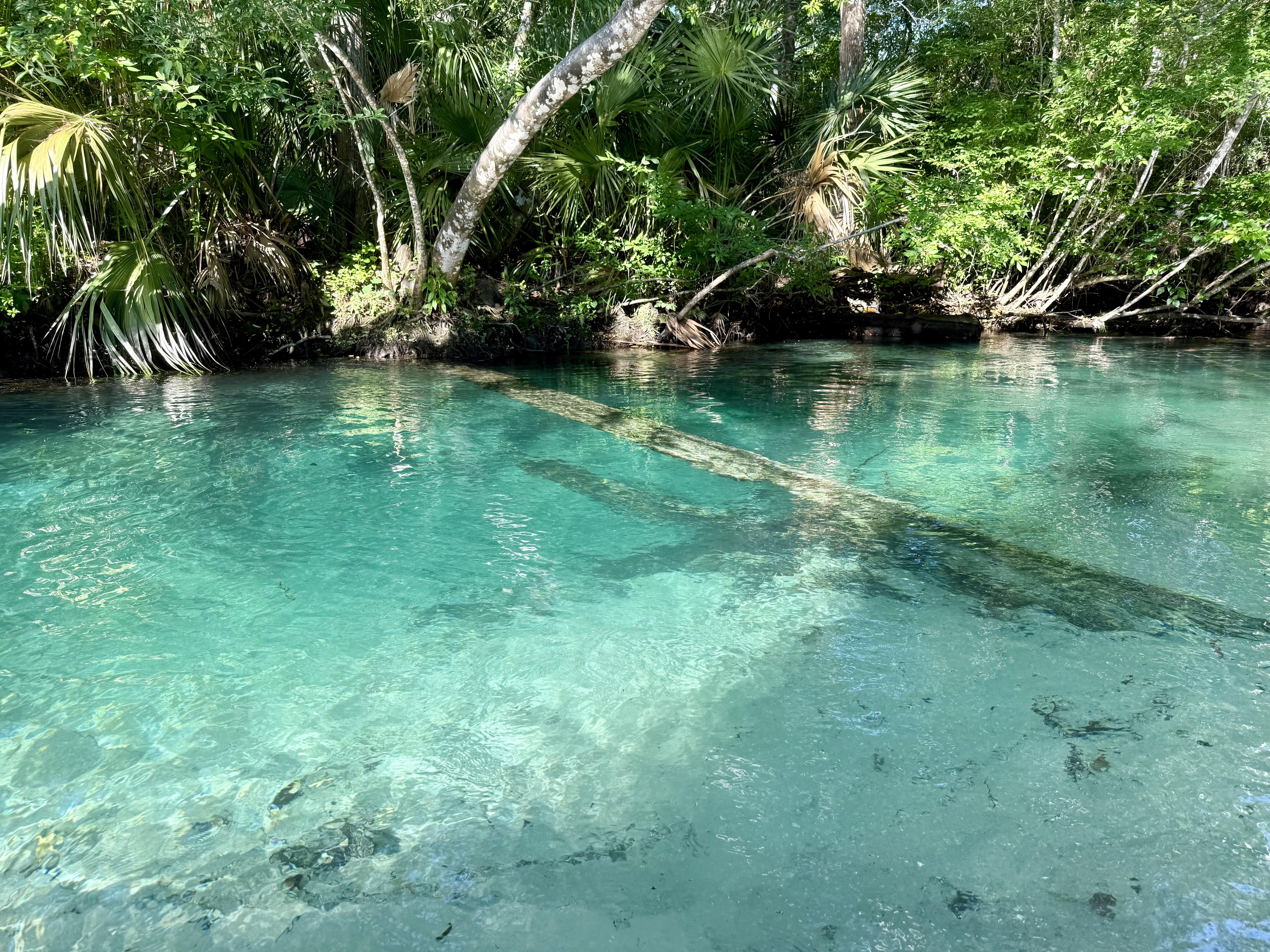 It doesn't take much of a paddle before you get to this beautiful crystal clear water.  Just magical.