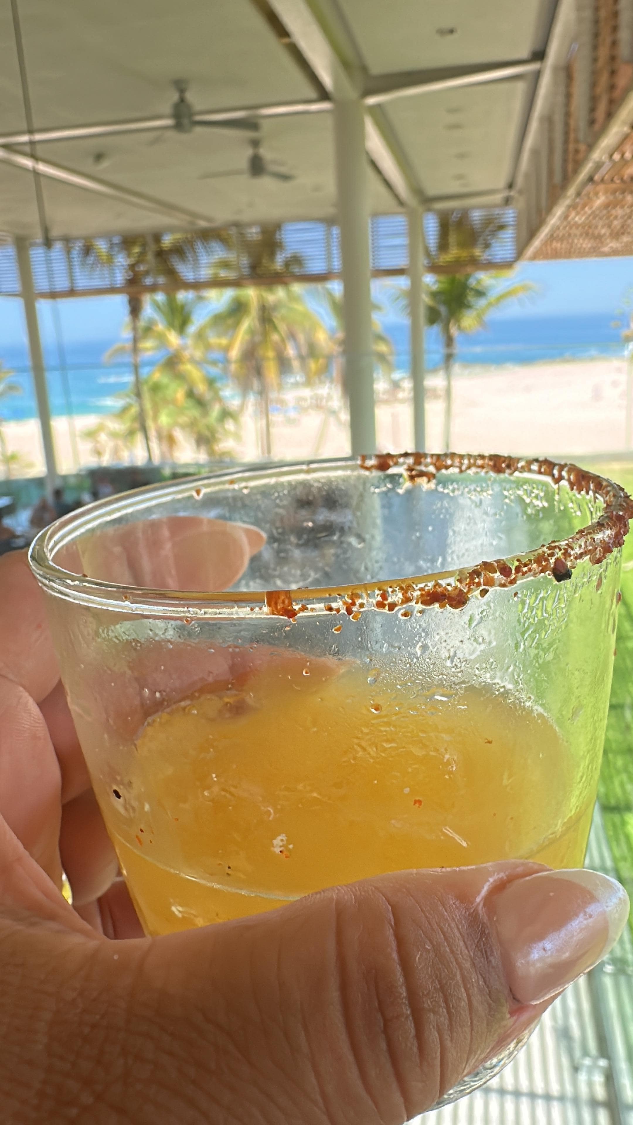 Las Bebidas 100%