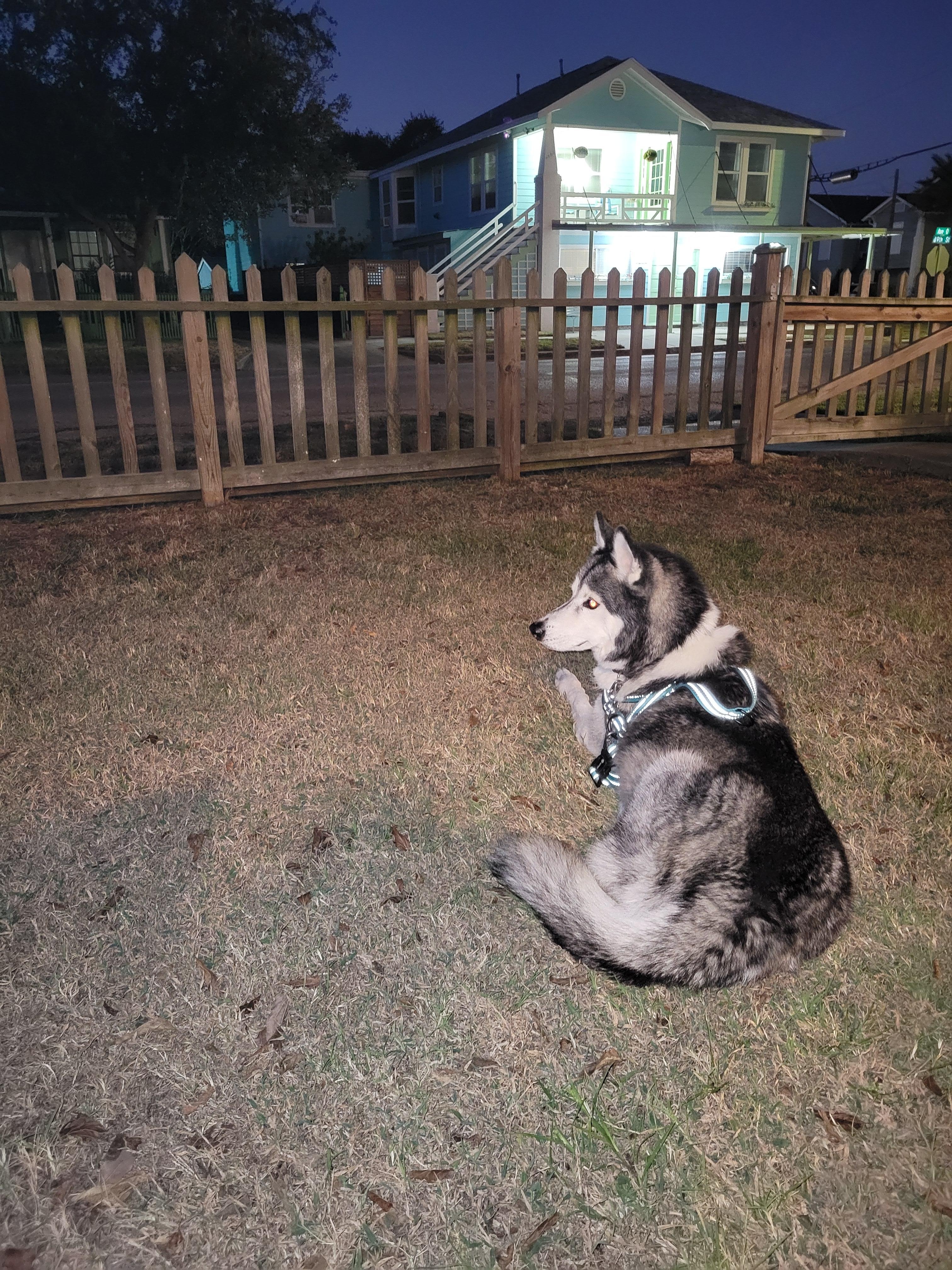 Watching the golf carts go by