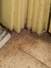 All the corners of the room was like this. Grime and hair.