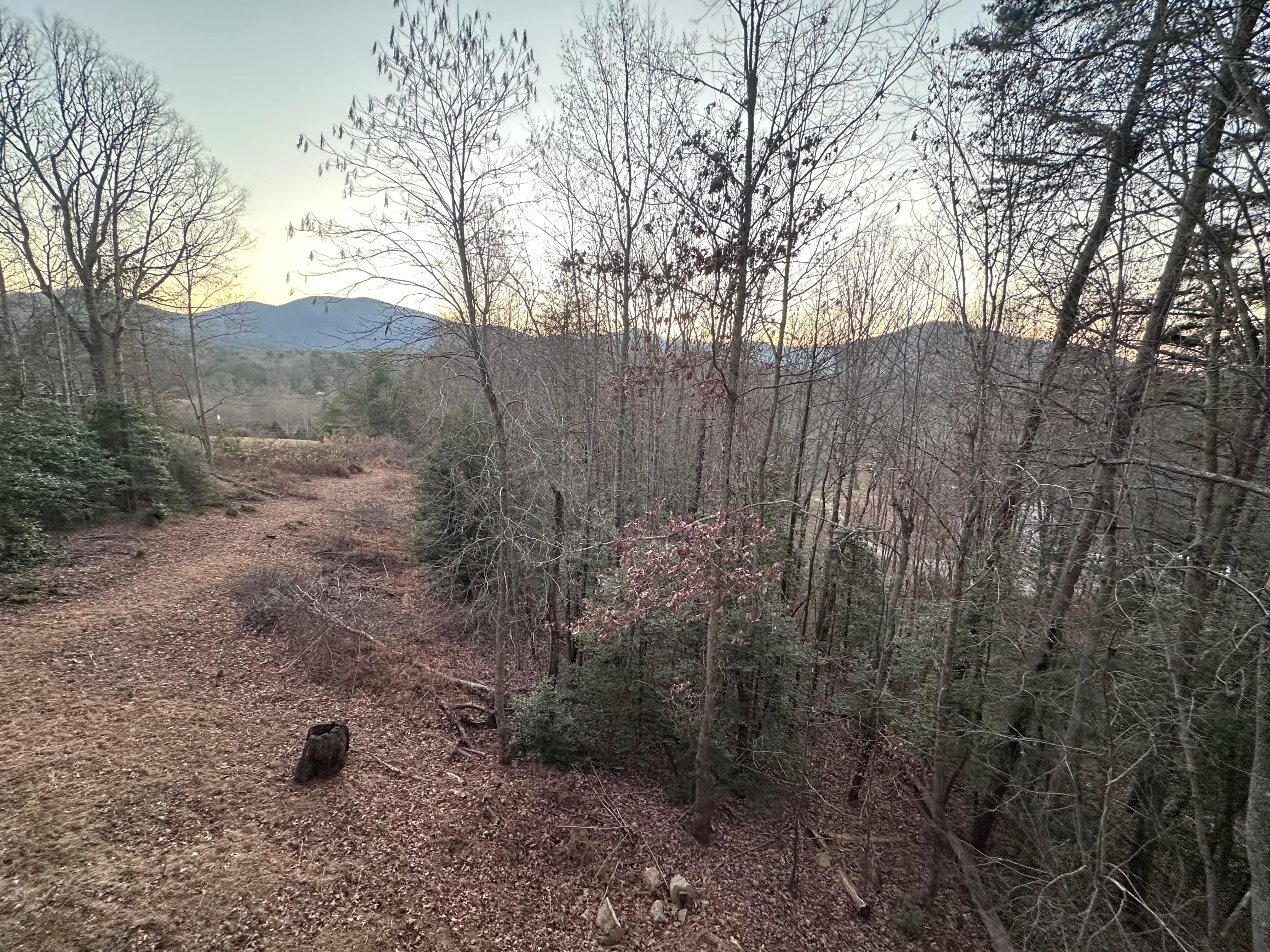 Lovely view from the porch