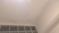 Mold in bathroom