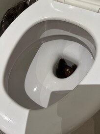 The toilet bowl is black inside and smells bad.