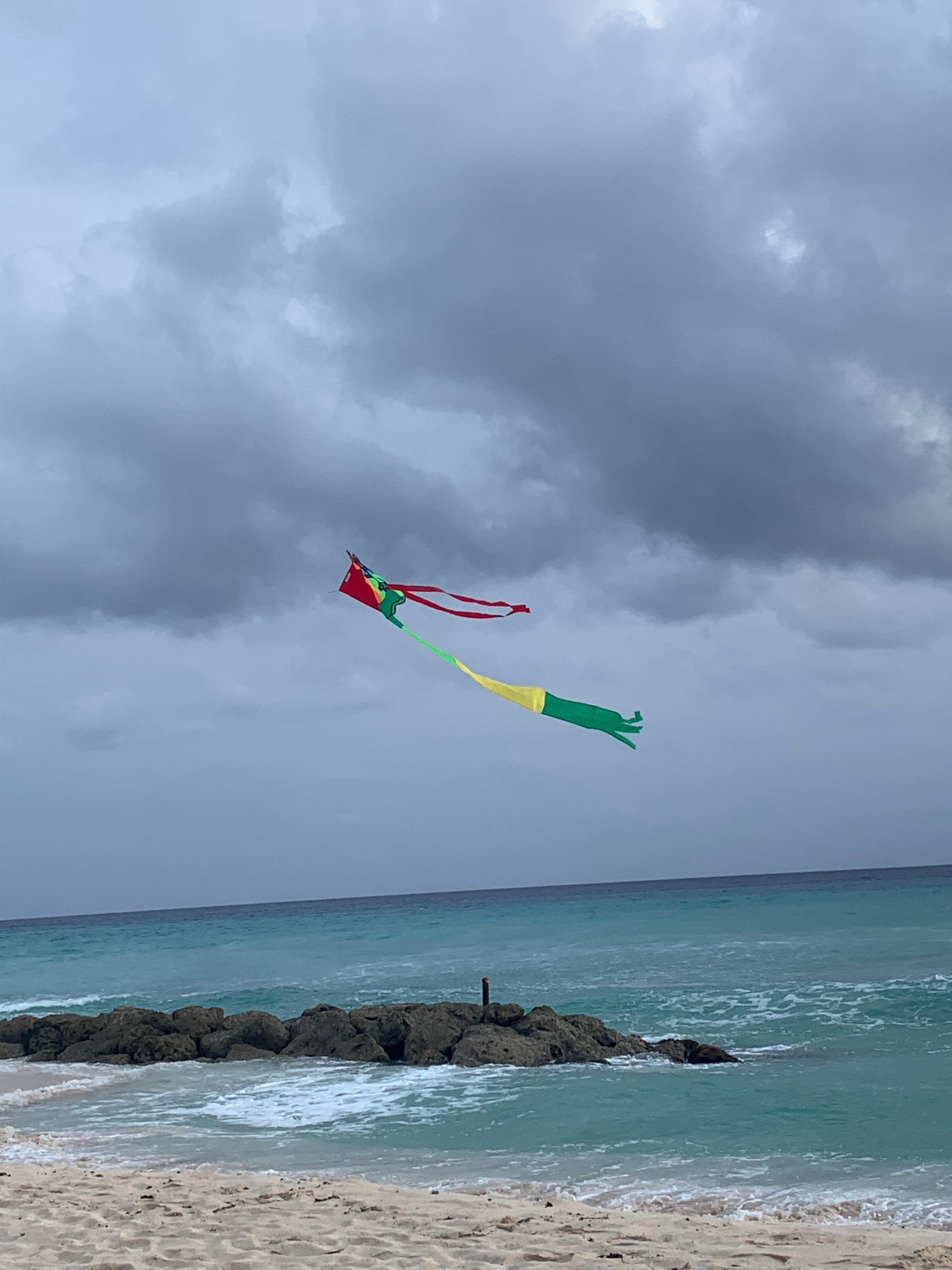Kite flying at the beach