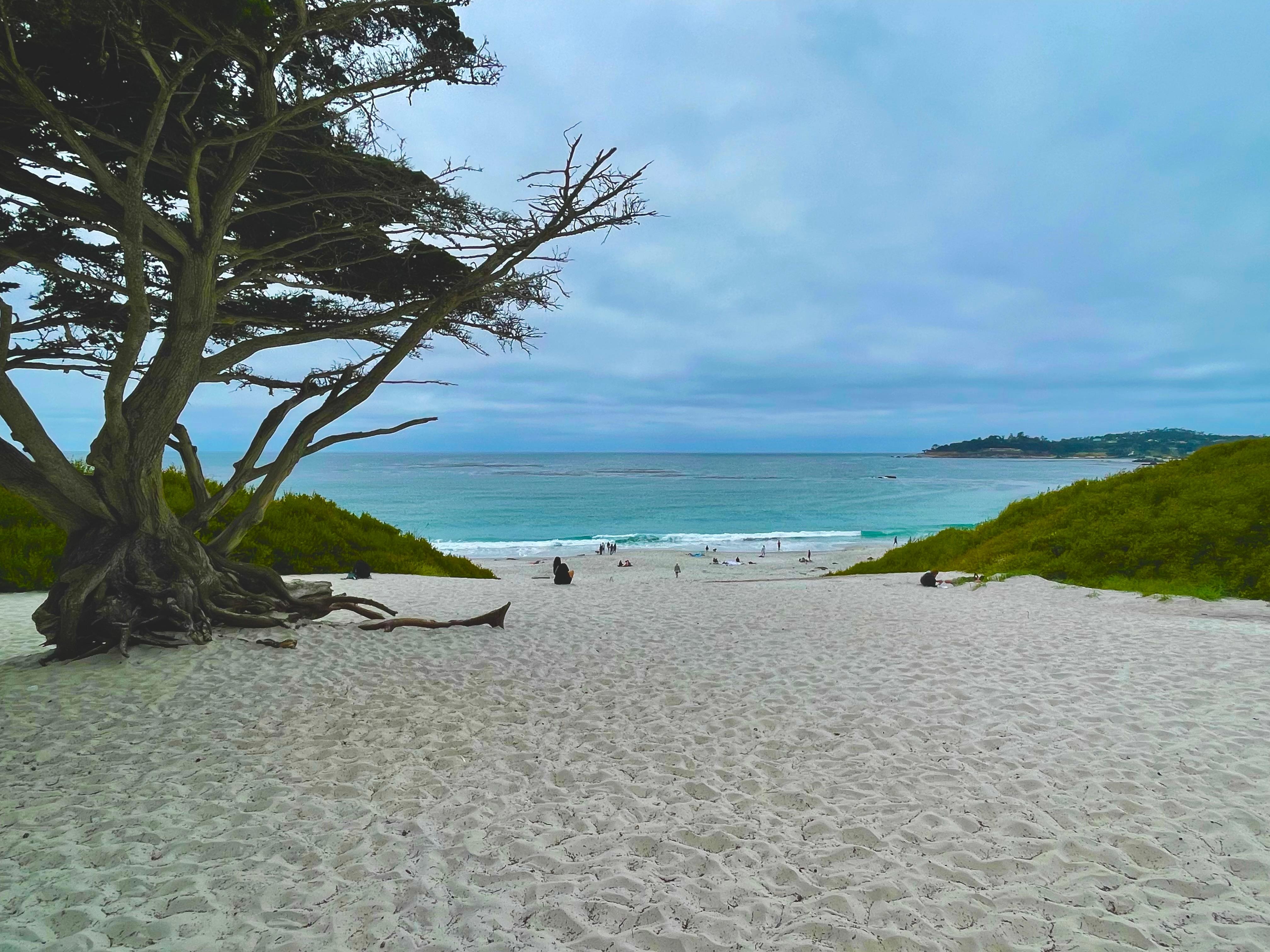 Carmel by the sea