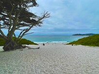 Carmel by the sea