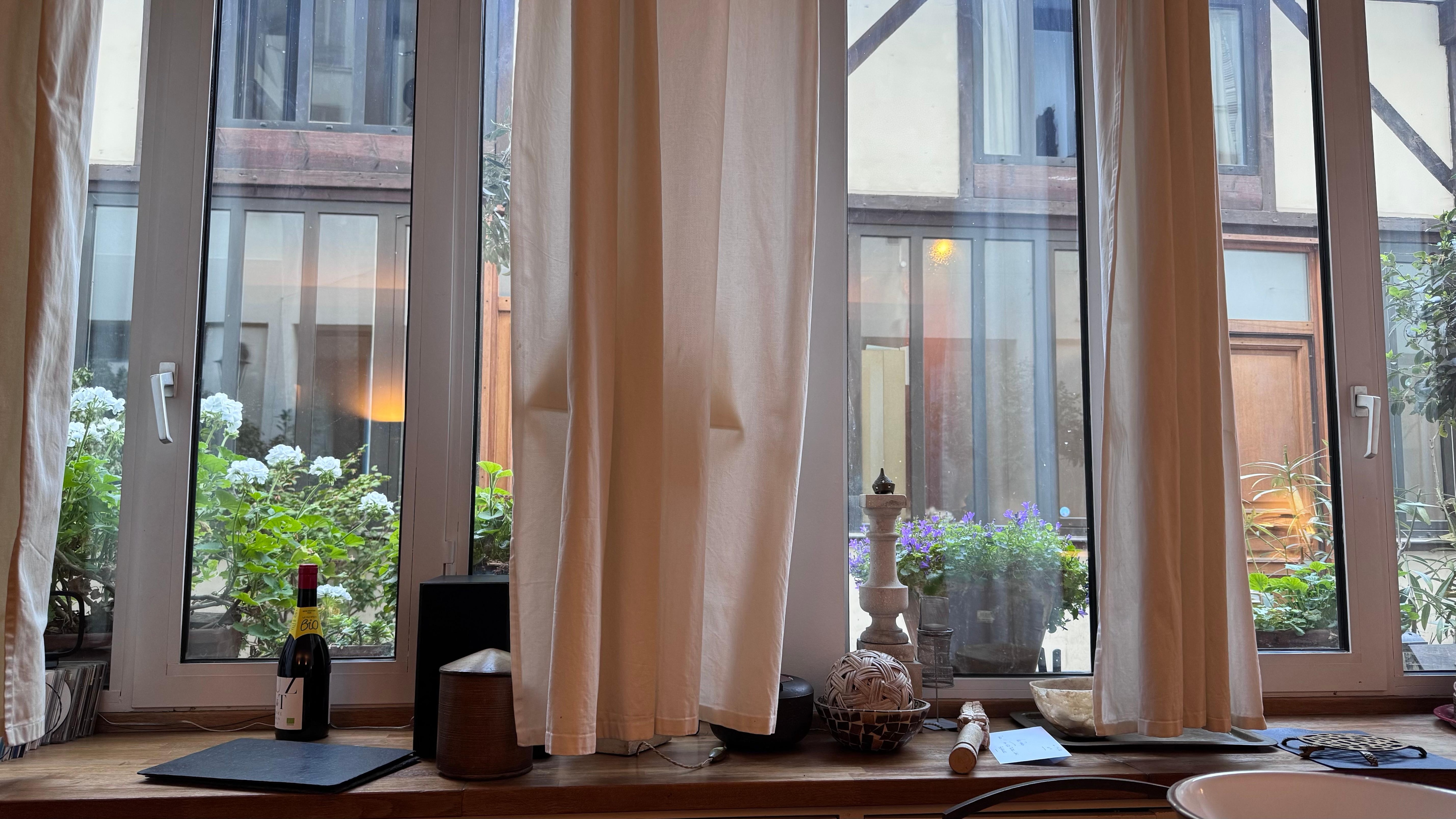 View from the dining table