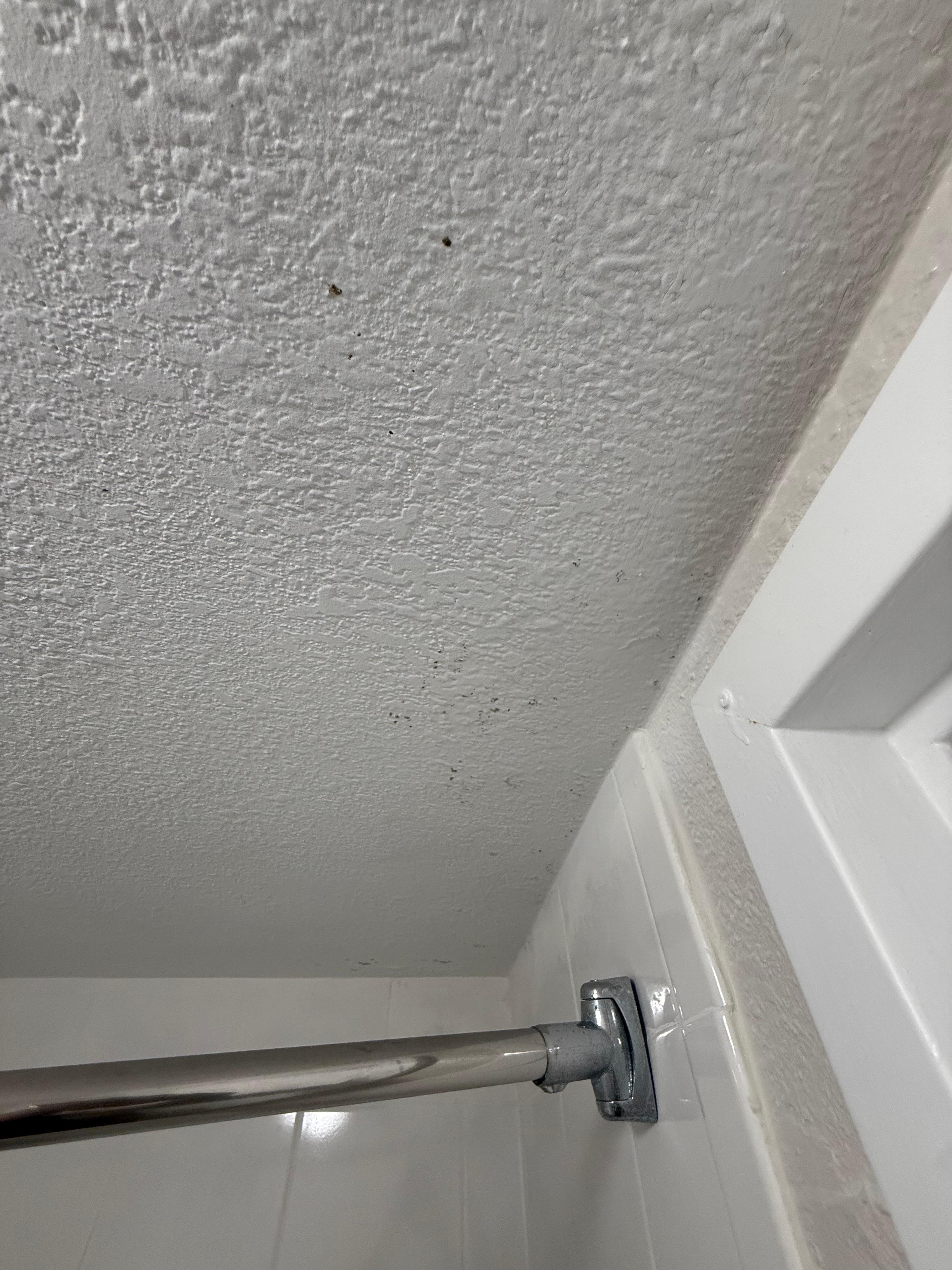 Green stuff on bathroom ceiling 