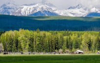 This wide-open view from the Polebridge area in West Glacier was unforgettable—miles of untouched forest framed by rugged, snow-capped peaks. Peaceful, remote, and absolutely stunning!
