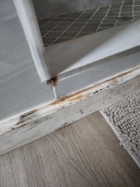 One shower base. Mold? Water leaking, is obvious. But fix it or at least hide it under paint.