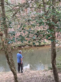Fishing in the creek.