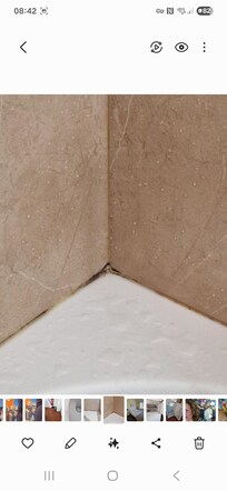 Mould around shower
