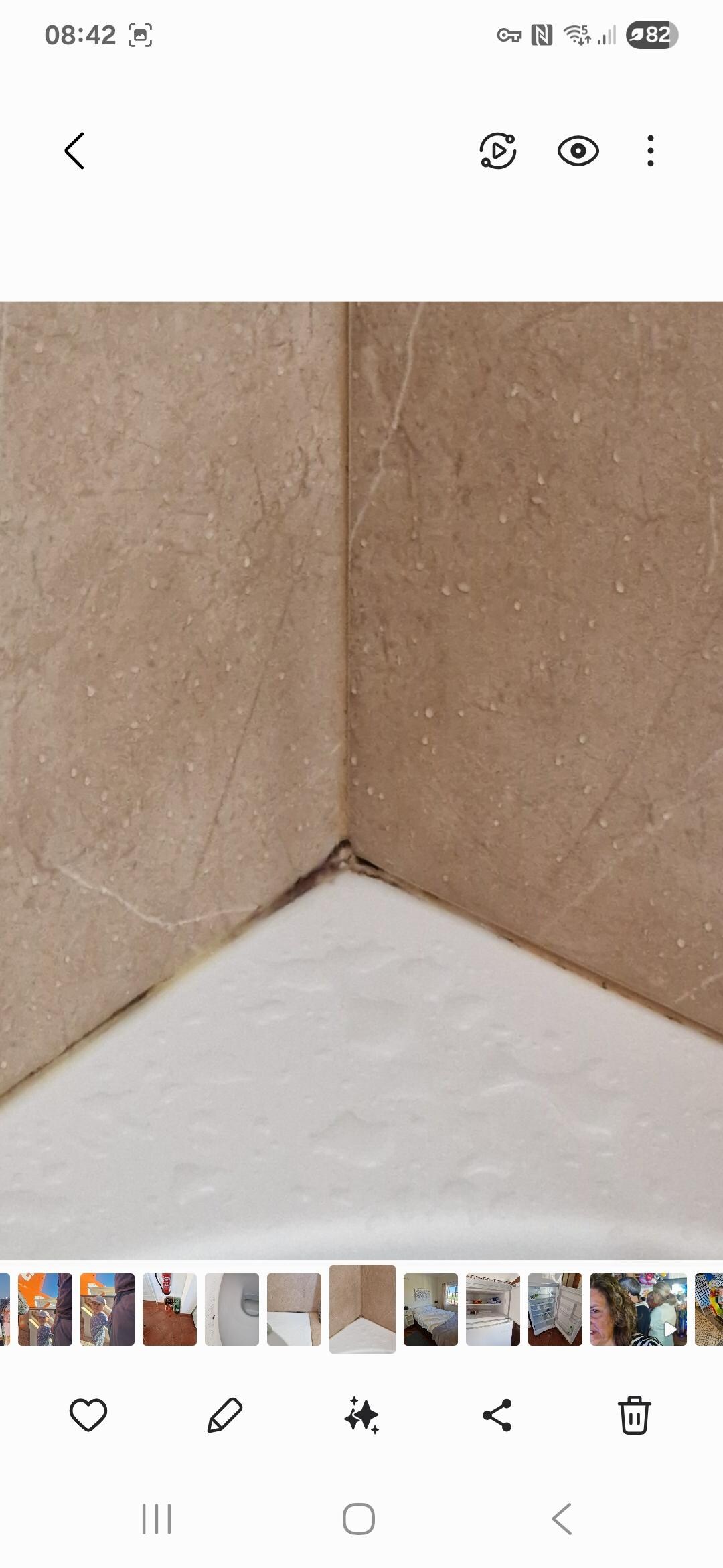 Mould around shower