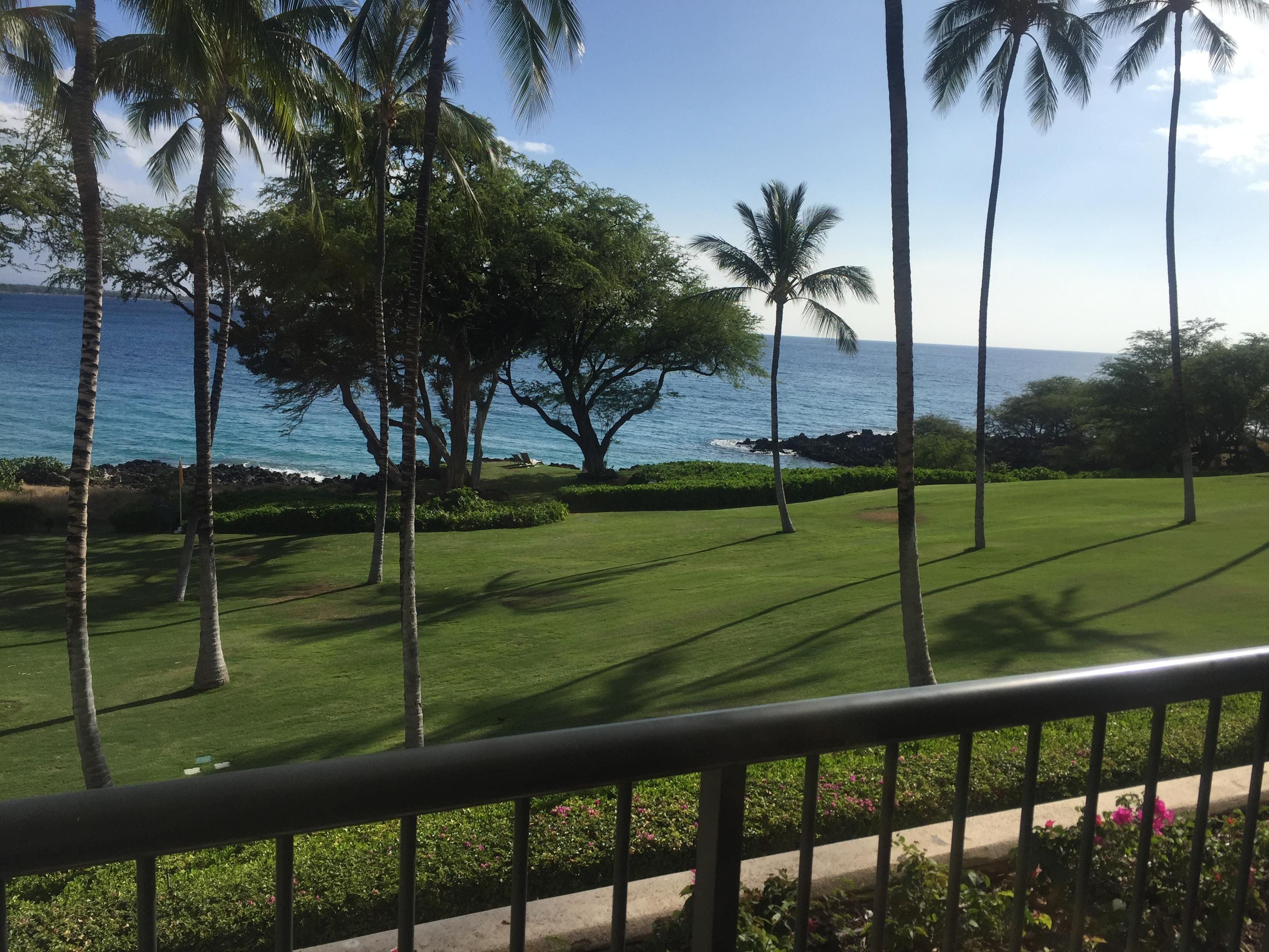Room view