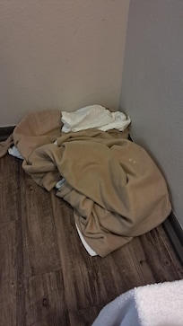 Dirty Sheets