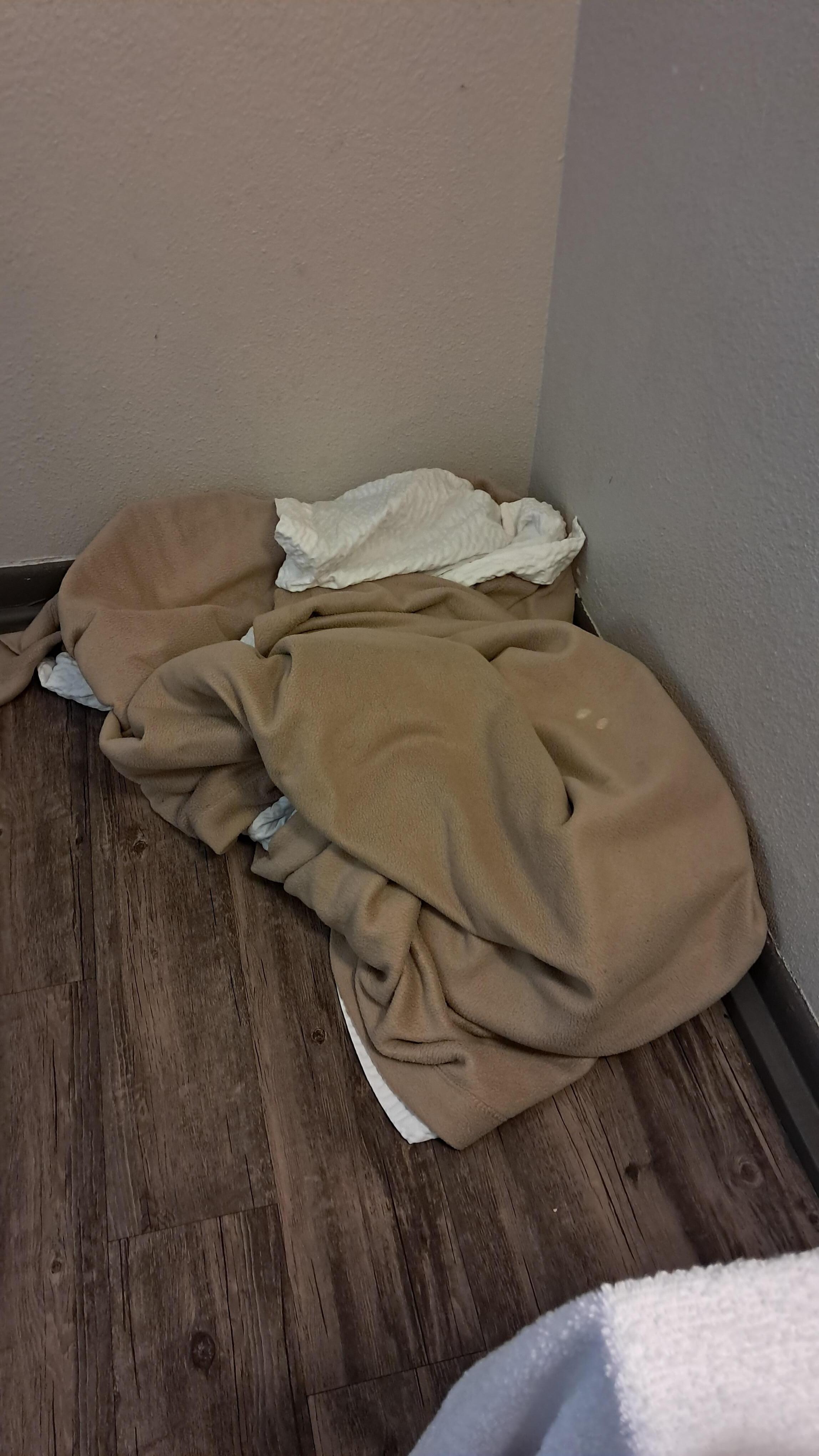 Dirty Sheets