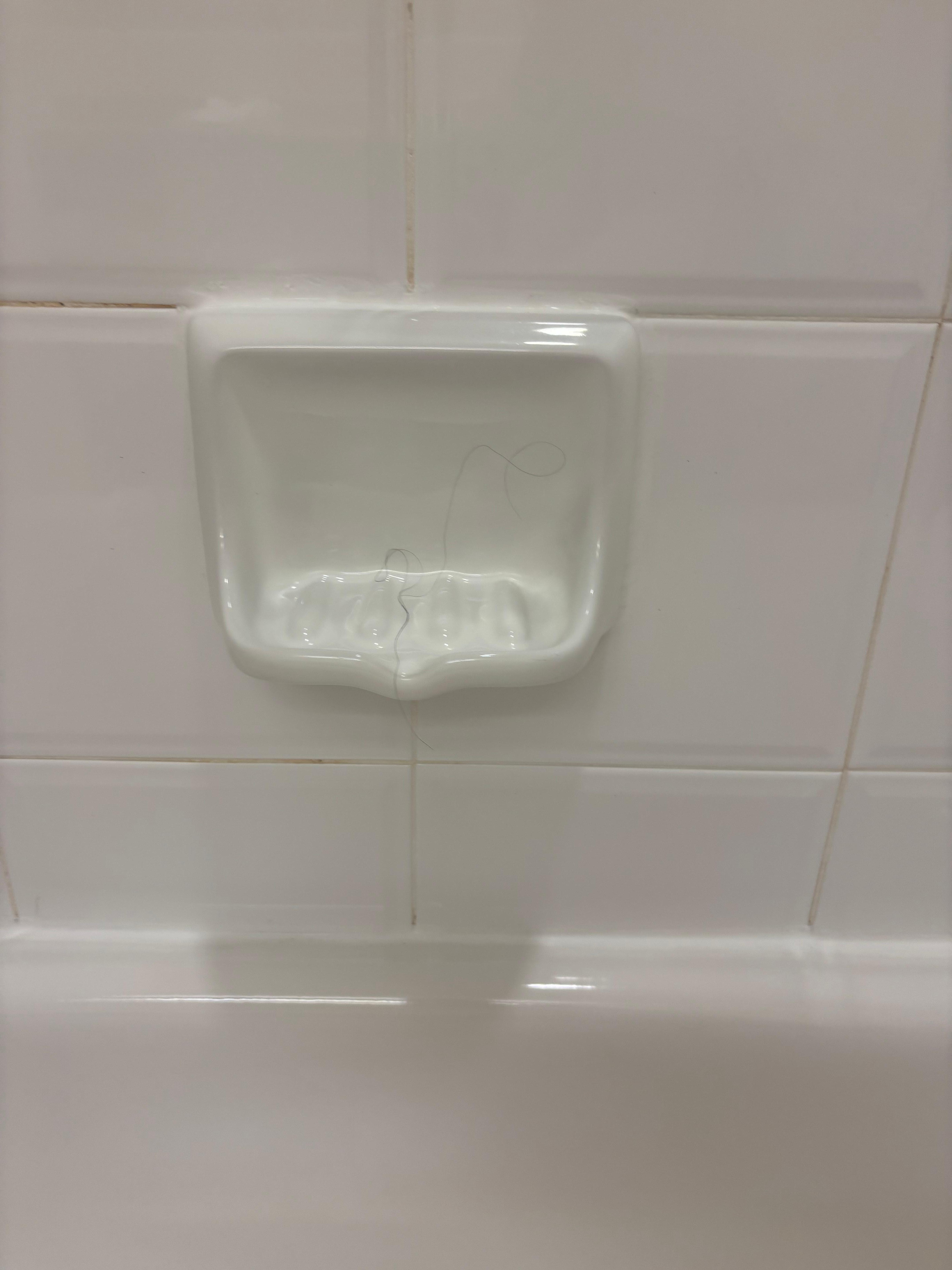 Hair in tub as soon as we walked in. 