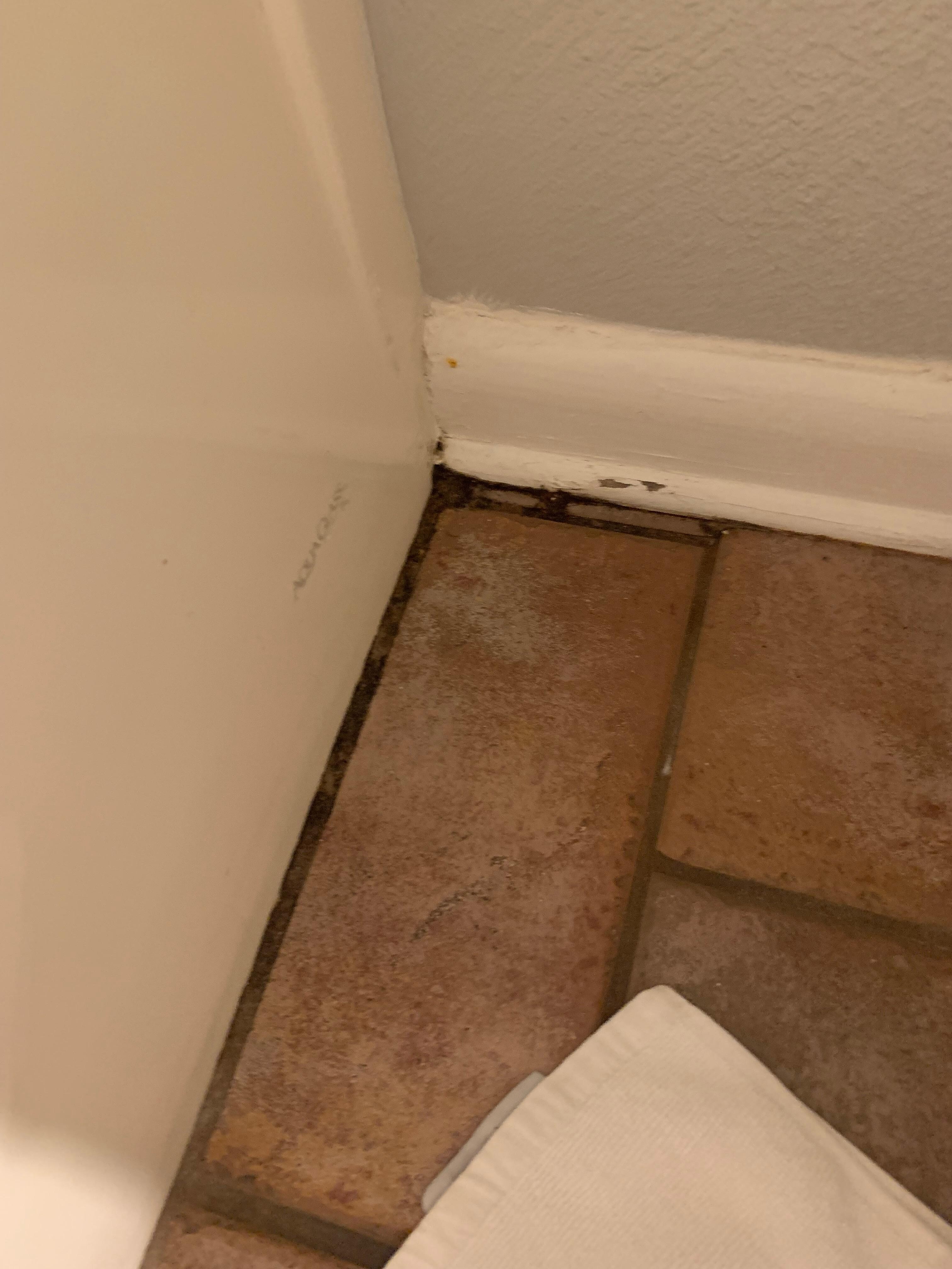 Mold in the upper corner of the tile next to the shower.