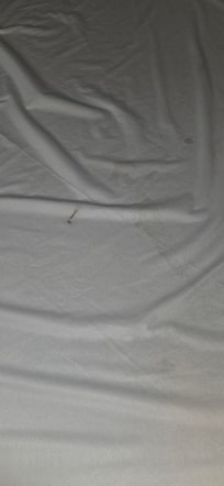 Rust stains from their washer