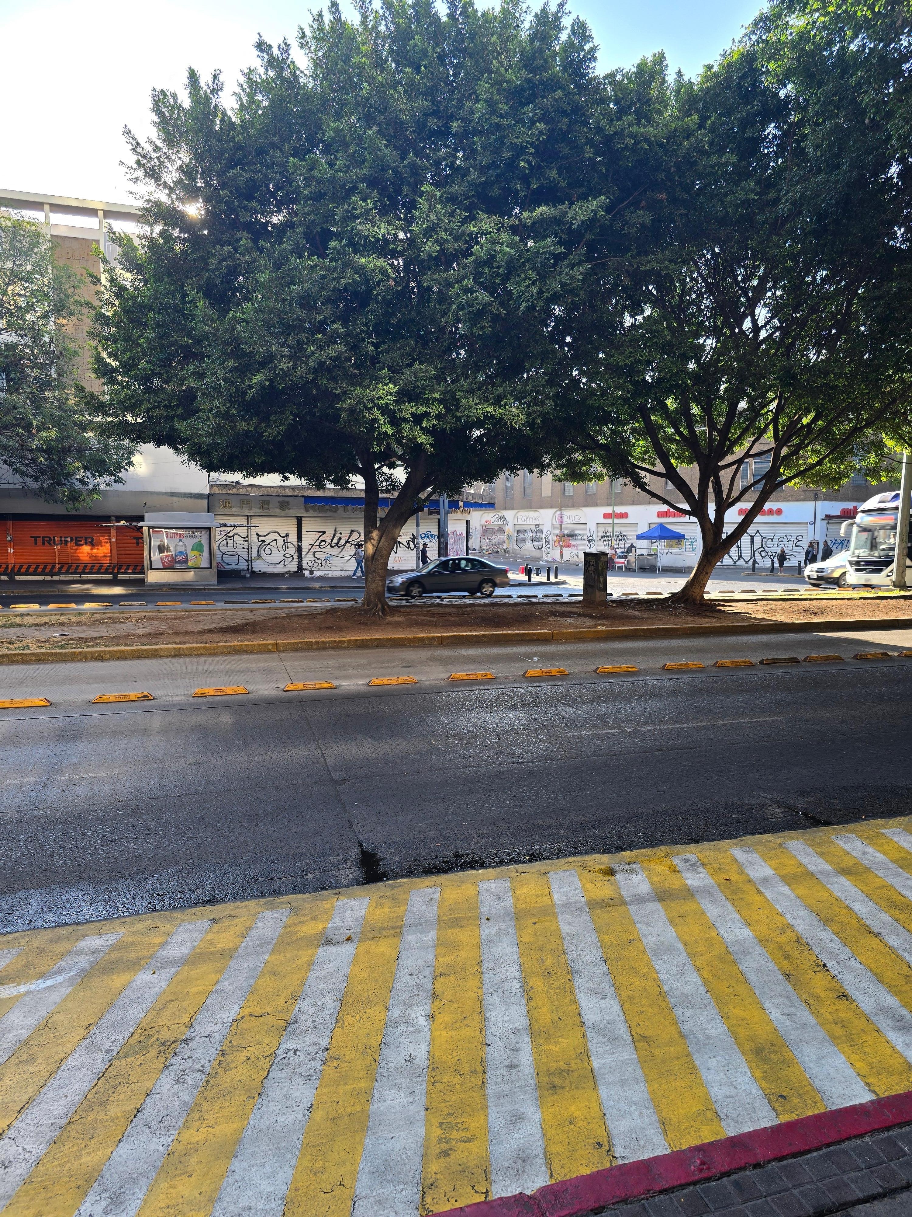 Walls tagged and trash