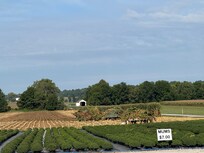 Amish live all around. Watching their farming operations is amazing!