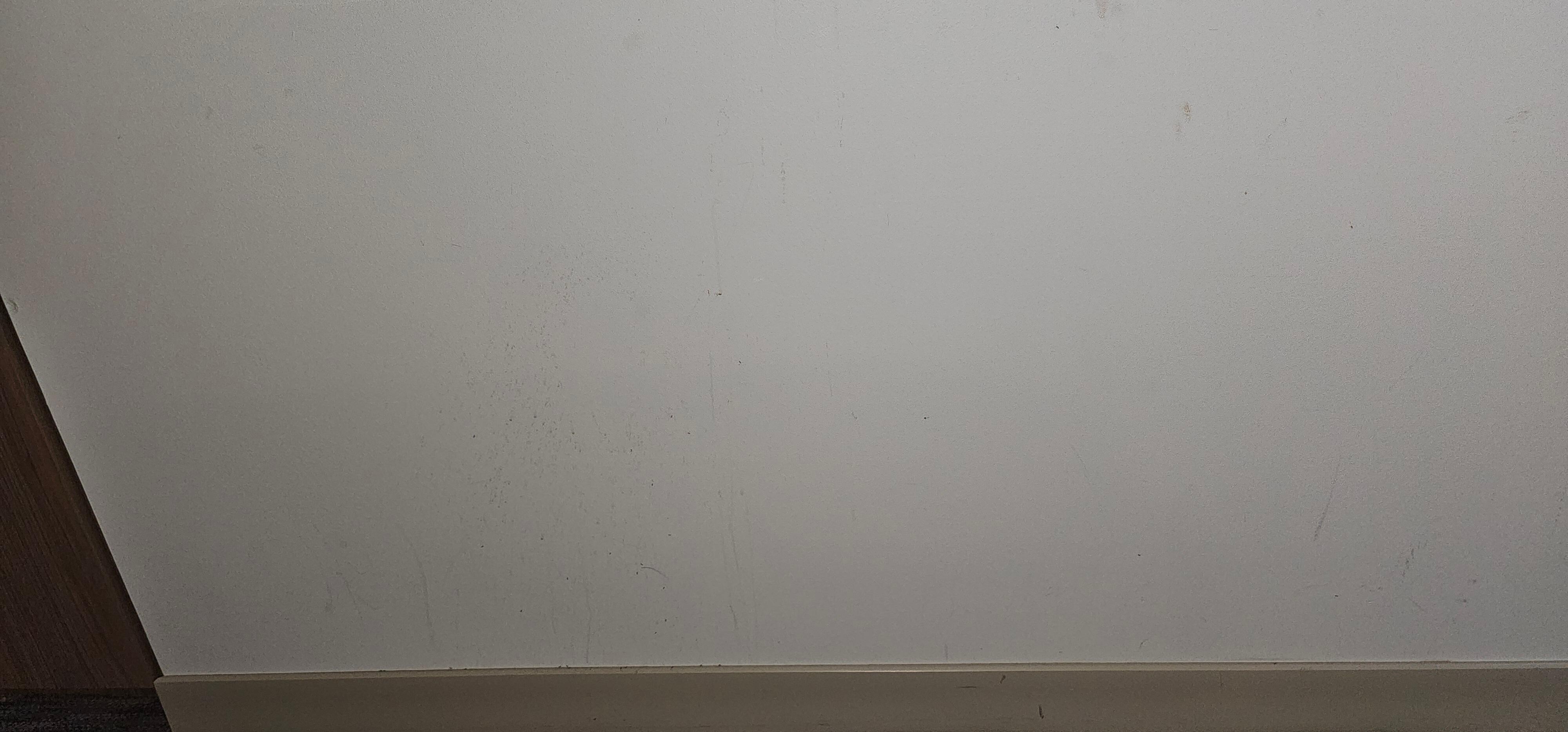Odd stains on walls. Small black dots are ants. There were a lot more than I took pictures of
