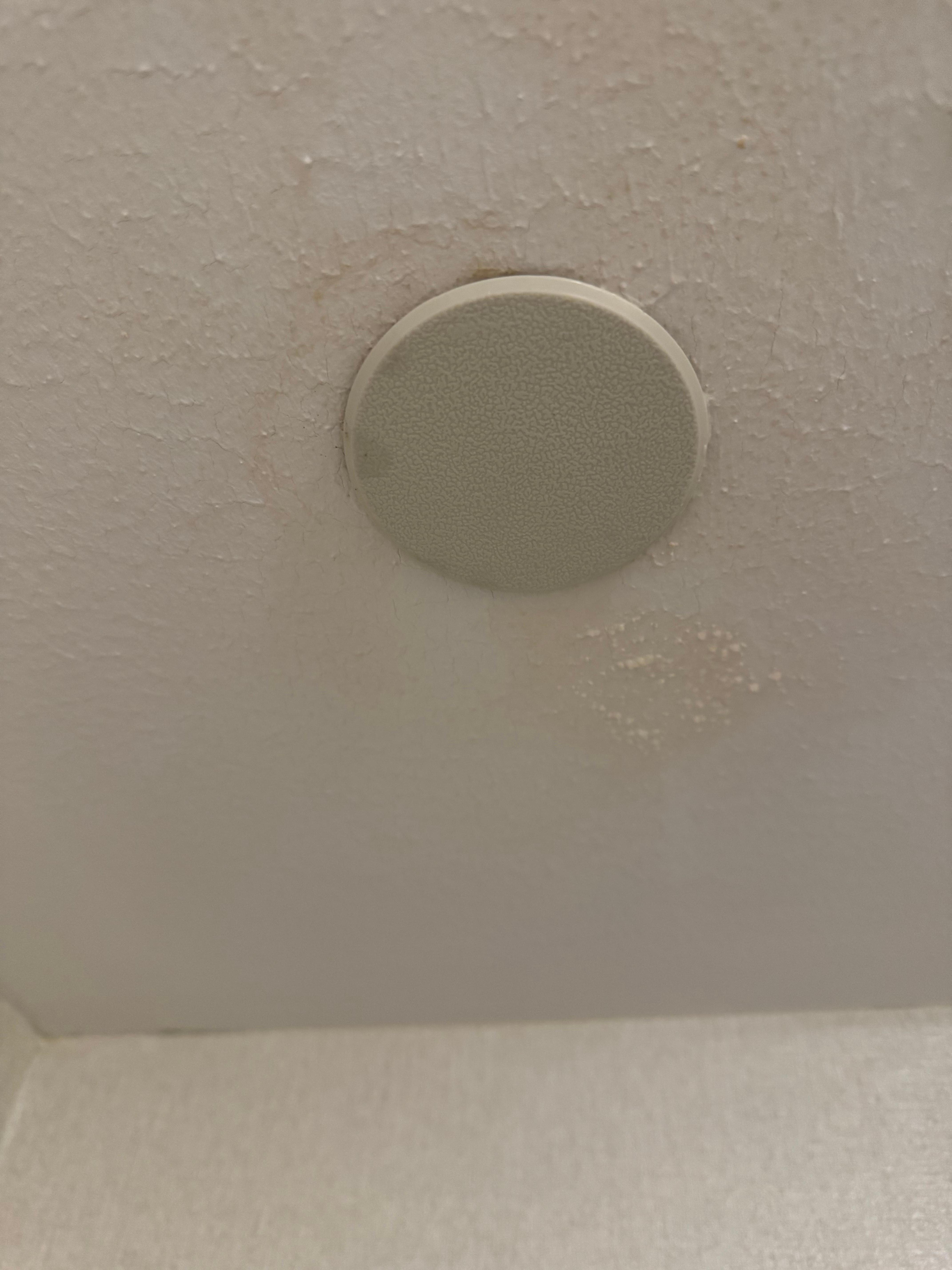 Leaking bathroom ceiling 