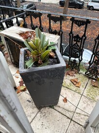 Horrible condition of the balcony